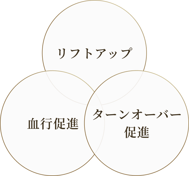リフトアップ・血行促進・ターンオーバー促進